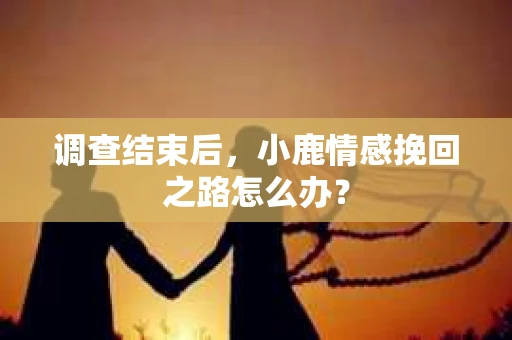 调查结束后，小鹿情感挽回之路怎么办？