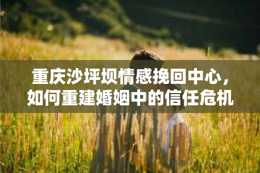 重庆沙坪坝情感挽回中心，如何重建婚姻中的信任危机？