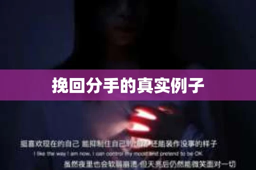 挽回分手的真实例子