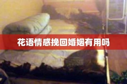花语情感挽回婚姻有用吗