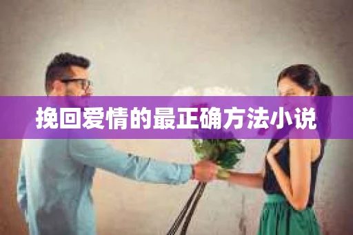 挽回爱情的最正确方法小说
