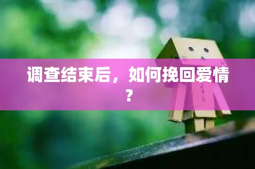 调查结束后，如何挽回爱情？