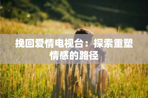 挽回爱情电视台：探索重塑情感的路径