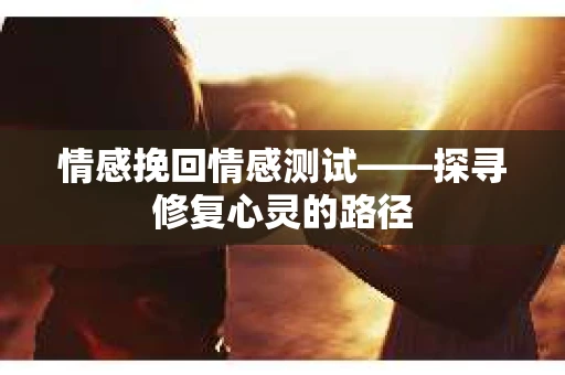 情感挽回情感测试——探寻修复心灵的路径