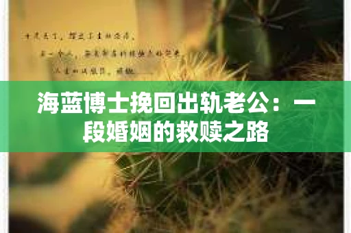海蓝博士挽回出轨老公：一段婚姻的救赎之路
