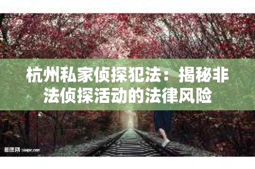 杭州私家侦探犯法：揭秘非法侦探活动的法律风险