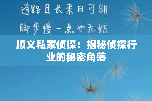 顺义私家侦探：揭秘侦探行业的秘密角落