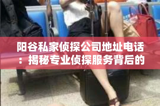 阳谷私家侦探公司地址电话：揭秘专业侦探服务背后的故事
