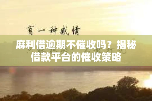 麻利借逾期不催收吗？揭秘借款平台的催收策略