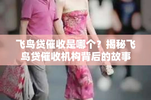 飞鸟贷催收是哪个？揭秘飞鸟贷催收机构背后的故事