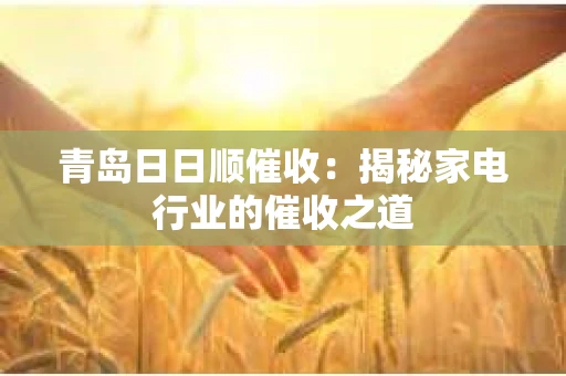 青岛日日顺催收：揭秘家电行业的催收之道