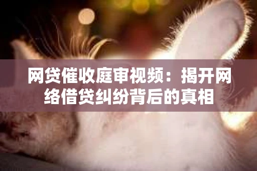 网贷催收庭审视频：揭开网络借贷纠纷背后的真相