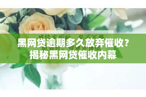 黑网贷逾期多久放弃催收？揭秘黑网贷催收内幕
