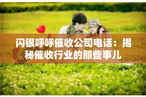 闪银呼呼催收公司电话：揭秘催收行业的那些事儿