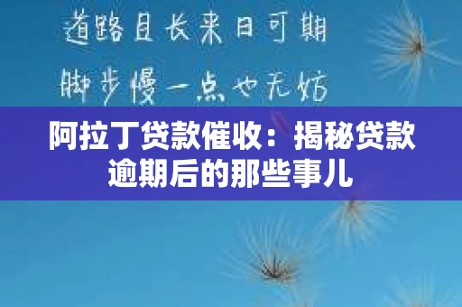 阿拉丁贷款催收：揭秘贷款逾期后的那些事儿