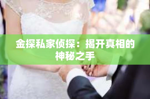 金探私家侦探：揭开真相的神秘之手
