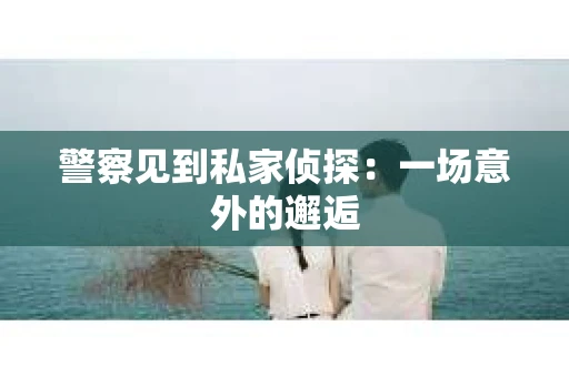 警察见到私家侦探：一场意外的邂逅