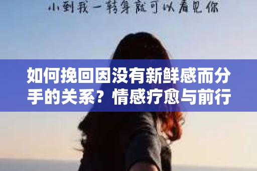 如何挽回因没有新鲜感而分手的关系？情感疗愈与前行计划