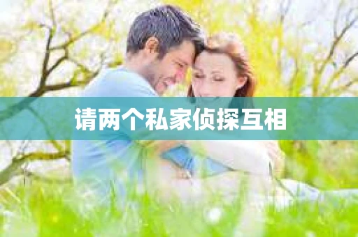 请两个私家侦探互相