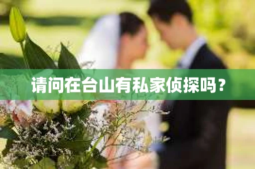 请问在台山有私家侦探吗？