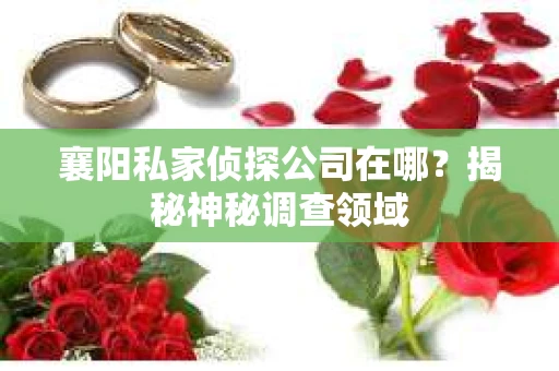 襄阳私家侦探公司在哪？揭秘神秘调查领域