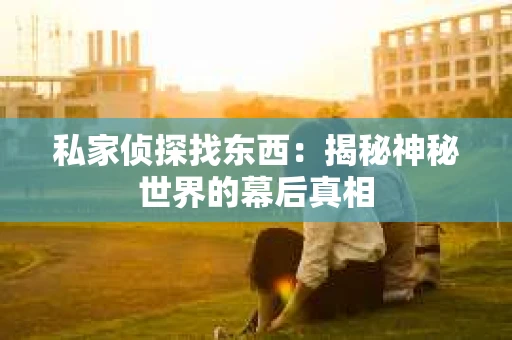 私家侦探找东西：揭秘神秘世界的幕后真相