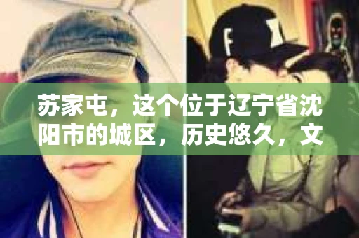 苏家屯，这个位于辽宁省沈阳市的城区，历史悠久，文化底蕴深厚。近年来，随着社会的发展，人们对于私家侦探的需求也逐渐增加。那么，苏家屯有私家侦探吗？今天，我们就来聊聊这个话题。