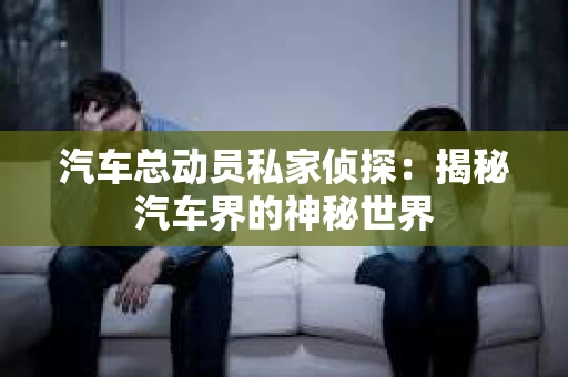 汽车总动员私家侦探：揭秘汽车界的神秘世界