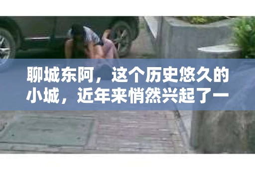 聊城东阿，这个历史悠久的小城，近年来悄然兴起了一股新的服务潮流——私家侦探。今天，我们就来聊聊这个话题，看看在聊城东阿，私家侦探是如何成为人们生活中的一部分的。