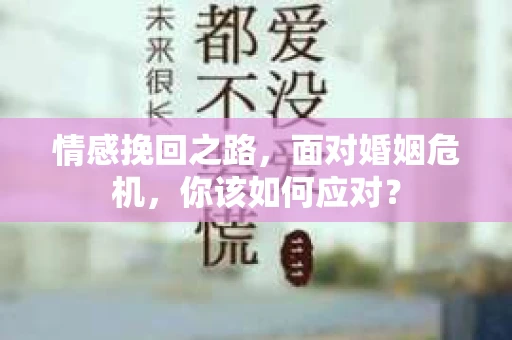 情感挽回之路，面对婚姻危机，你该如何应对？