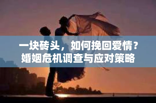 一块砖头,如何挽回爱情?婚姻危机调查与应对策略 一块砖头,如何挽回爱情?婚姻危机调查与应对策略