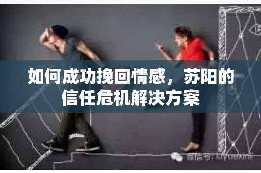 如何成功挽回情感，苏阳的信任危机解决方案