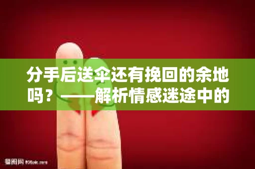 分手后送伞还有挽回的余地吗？——解析情感迷途中的决策
