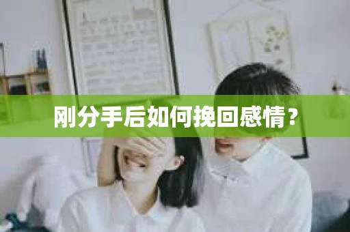 刚分手后如何挽回感情？